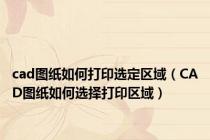 cad图纸如何打印选定区域（CAD图纸如何选择打印区域）