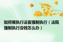 如何催执行法官强制执行（法院强制执行没钱怎么办）