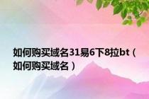 如何购买域名31易6下8拉bt（如何购买域名）