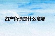 资产负债是什么意思