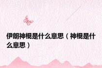 伊朗神棍是什么意思（神棍是什么意思）