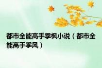 都市全能高手季枫小说（都市全能高手季风）