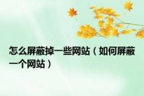 怎么屏蔽掉一些网站（如何屏蔽一个网站）