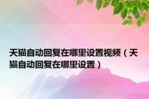 天猫自动回复在哪里设置视频（天猫自动回复在哪里设置）