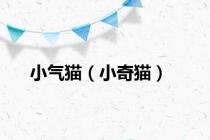 小气猫（小奇猫）