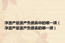 净资产是资产负债表中的哪一项（净资产是资产负债表的哪一项）