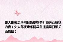 史大郎夜走华阴县鲁提辖拳打镇关西概括内容（史大郎夜走华阴县鲁提辖拳打镇关西概括）