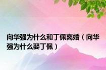 向华强为什么和丁佩离婚（向华强为什么娶丁佩）