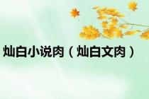 灿白小说肉（灿白文肉）