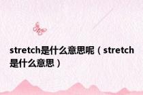 stretch是什么意思呢（stretch是什么意思）