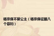 杨宗保不娶公主（杨宗保征服八个寡妇）