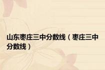 山东枣庄三中分数线（枣庄三中分数线）