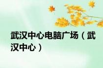 武汉中心电脑广场（武汉中心）