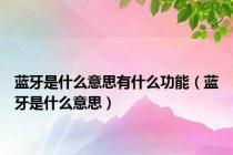 蓝牙是什么意思有什么功能（蓝牙是什么意思）