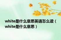 white是什么意思英语怎么读（white是什么意思）