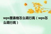 wps里表格怎么调行高（wps怎么调行高）