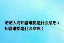 茫茫人海知音难觅是什么意思（知音难觅是什么意思）