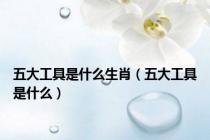 五大工具是什么生肖（五大工具是什么）