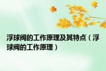 浮球阀的工作原理及其特点（浮球阀的工作原理）