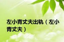 左小青丈夫出轨（左小青丈夫）