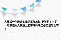人教版一年级语文教学工作总结 下学期（小学一年级语文人教版上册学期教学工作总结怎么写）