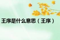 王序是什么意思（王序）