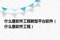 什么是软件工程新型平台软件（什么是软件工程）
