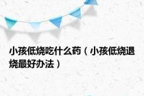 小孩低烧吃什么药（小孩低烧退烧最好办法）