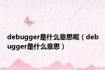 debugger是什么意思呢（debugger是什么意思）