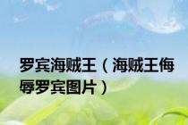 罗宾海贼王（海贼王侮辱罗宾图片）