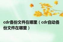 cdr备份文件在哪里（cdr自动备份文件在哪里）