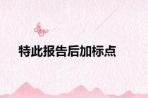 特此报告后加标点