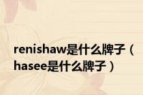 renishaw是什么牌子（hasee是什么牌子）