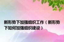新形势下加强组织工作（新形势下如何加强组织建设）