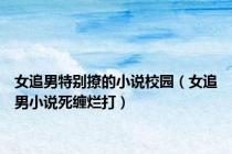 女追男特别撩的小说校园（女追男小说死缠烂打）