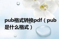 pub格式转换pdf（pub是什么格式）