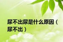 尿不出尿是什么原因（尿不出）