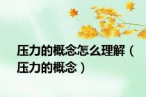 压力的概念怎么理解（压力的概念）