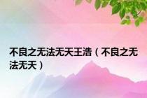 不良之无法无天王浩（不良之无法无天）