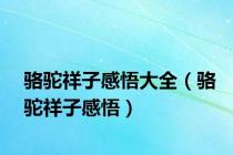骆驼祥子感悟大全（骆驼祥子感悟）