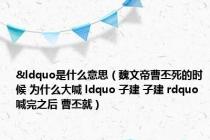 &ldquo是什么意思（魏文帝曹丕死的时候 为什么大喊 ldquo 子建 子建 rdquo  喊完之后 曹丕就）