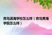 青岛滨海学校怎么样（青岛黄海学院怎么样）