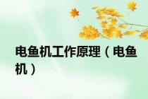 电鱼机工作原理（电鱼机）