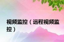视频监控（远程视频监控）