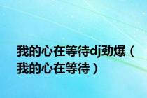 我的心在等待dj劲爆（我的心在等待）
