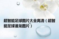 超智能足球图片大全高清（超智能足球潜龙图片）