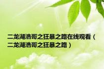 二龙湖浩哥之狂暴之路在线观看（二龙湖浩哥之狂暴之路）