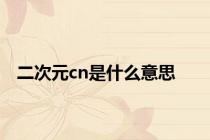 二次元cn是什么意思