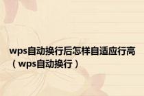 wps自动换行后怎样自适应行高（wps自动换行）