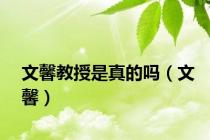 文馨教授是真的吗（文馨）